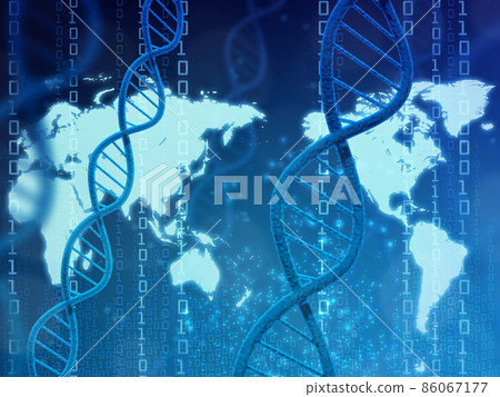 基因（DNA） 86067177