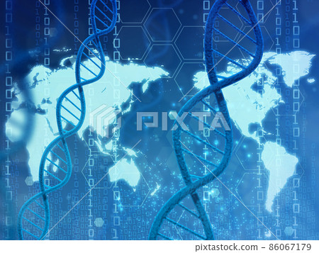 基因（DNA） 86067179