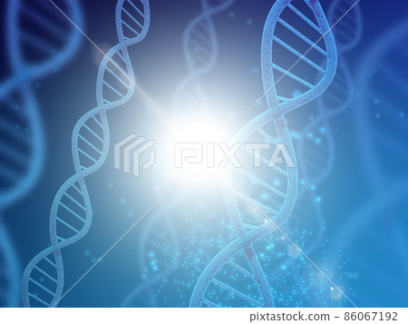 基因（DNA） 86067192
