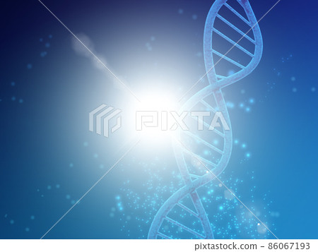 Gene (DNA) Gene (DNA) 86067193
