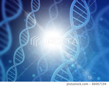 基因(DNA) 基因(DNA) 86067194