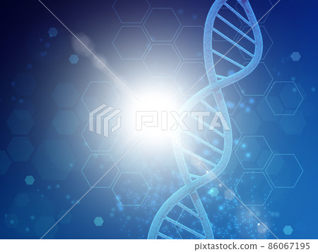 Gene (DNA) Gene (DNA) 86067195