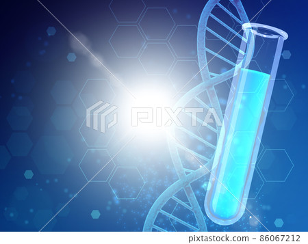 基因（DNA） 86067212