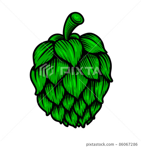 Beer hop illustration on white background. Design element for logo, label, emblem, sign. Vector illustration 86067286
