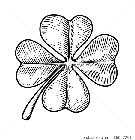 Illustration of leaf of clover in engraving style. Design element for poster, card, banner, flyer. Vector illustration Illustration of leaf of clover in engraving style. Design element for poster, card, banner, flyer. Vector illustration 86067291