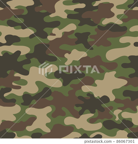 Camouflage pattern. Design element for poster, clothes decoration, card, banner. Vector illustration 86067301
