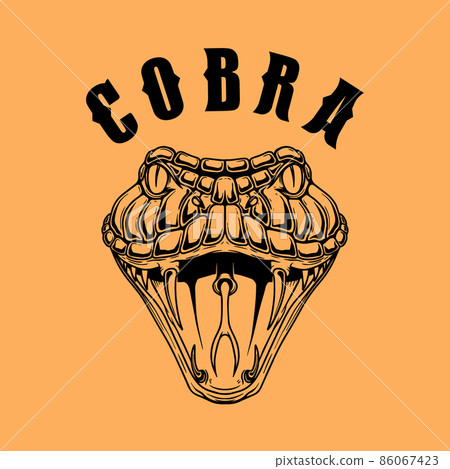 Illustration of cobra snake. Design element for logo, label, sign, emblem, poster. Vector illustration Illustration of cobra snake. Design element for logo, label, sign, emblem, poster. Vector illustration 86067423