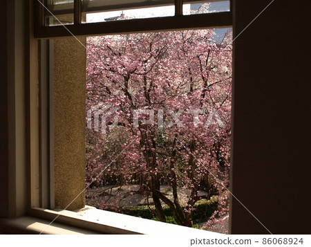 Spring outside the window 86068924