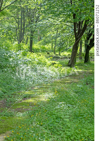 公園長廊（一光台） 86071252