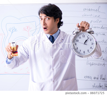 The young handsome dentist in front of the whiteboard The young handsome dentist in front of the whiteboard 86071725