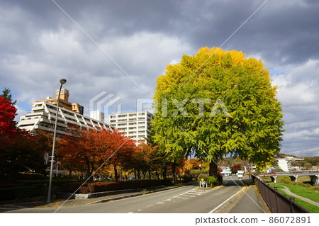 秋天的城下町盛岡 秋天的城下町盛岡 86072891