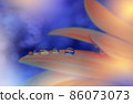 Beautiful Macro Photo.Dream Flowers.Border Art Design.Magic Light.Close up Photography.Conceptual Abstract Image.Blue and Orange Background.Fantasy Floral Art.Creative Wallpaper.Beautiful Nature. 86073073