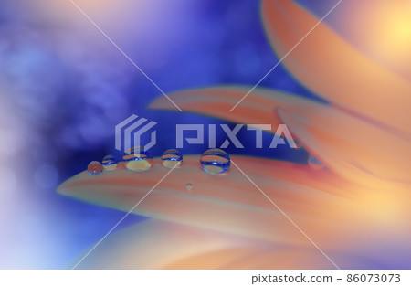 Beautiful Macro Photo.Dream Flowers.Border Art Design.Magic Light.Close up Photography.Conceptual Abstract Image.Blue and Orange Background.Fantasy Floral Art.Creative Wallpaper.Beautiful Nature. 86073073