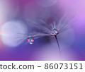 Beautiful Nature Background.Floral Art Design.Abstract Macro Photography.Pastel Flower.Dandelion Flowers.Blue Background.Creative Artistic Wallpaper.Wedding Invitation.Celebration,love.Close up View 86073151