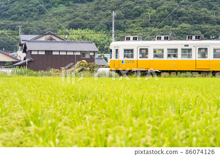 [Kotoden] Type 1100 running through the fields 86074126