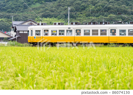 [Kotoden] Type 1100 running through the fields 86074130
