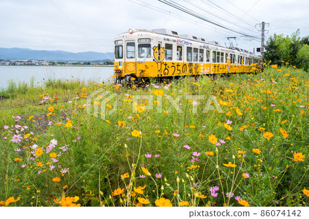 [Kotoden] Nara Suike, Cosmos and 1080 type 86074142