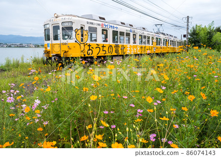 [Kotoden] Nara Suike, Cosmos and 1080 type 86074143