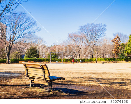 Suburban residential area, winter sunny park Suburban residential area, winter sunny park 86074168