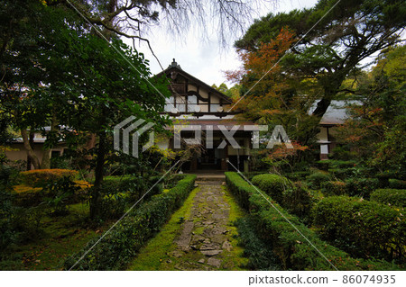彥根龍炭寺（達摩寺）2021年秋季 86074935