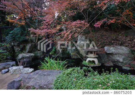 Nogeyama zoo 86075203