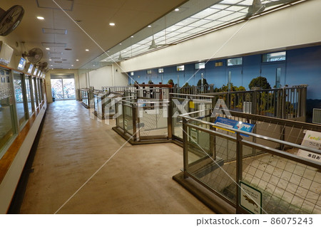 Nogeyama Zoo Reptile Museum 86075243