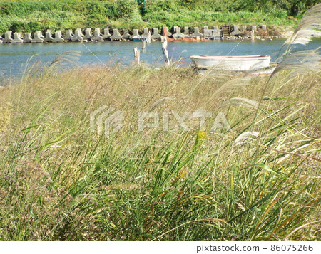 Autumn Saba River 86075266