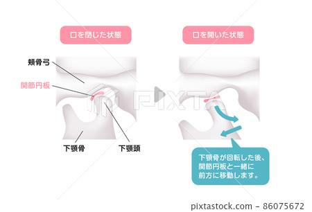 Mechanism of normal jaw opening and closing Vector illustration 86075672