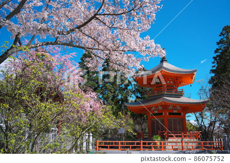 正法寺變所塔大原野京都 86075752