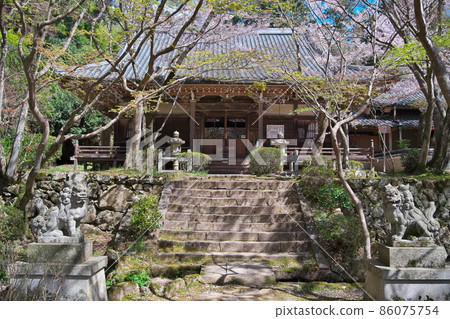精進寺 Amidado Oharano 京都 86075754