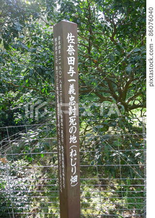 石橋山戰場、真田陽一、死亡之地（扭曲的原野） 86076040