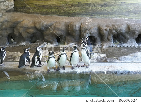 品川水族館 品川區居民公園 86076524