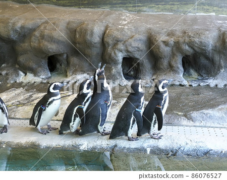 Shinagawa Aquarium Shinagawa Ward Residents Park 86076527