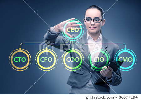 Businesswoman in the organisation chart concept 86077194