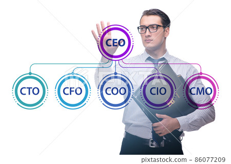 Businessman in the organisation chart concept 86077209