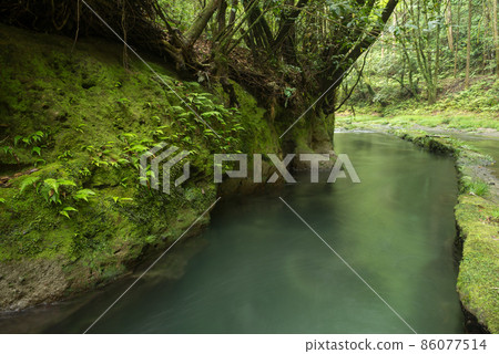 A clear stream beside a cliff with ferns and moss A clear stream beside a cliff with ferns and moss 86077514