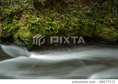 The fast flow of the river beside the cliff that grows with ferns 86077515