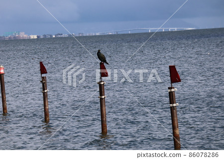 Lake Biwa on the surface of the ridge and ripples that perch on a stake, Lake Biwa Bridge that can be seen vaguely in the distance, the cityscape and the scenery of the winter sky Lake Biwa on the surface of the ridge and ripples that perch on a stake, Lake Biwa Bridge that can be seen vaguely in the distance, the cityscape and the scenery of the winter sky 86078286