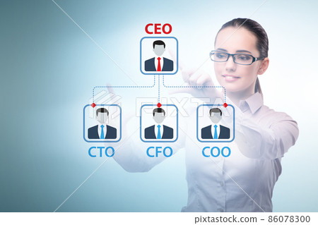 Businesswoman in the organisation chart concept 86078300