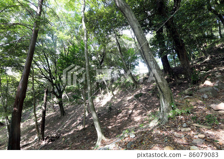 Mino Kanayama Castle 86079083