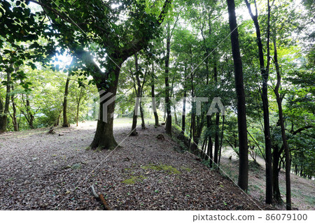 Mino Kanayama Castle 86079100