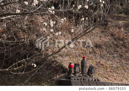 Moroyama Town Umenosato 86079103