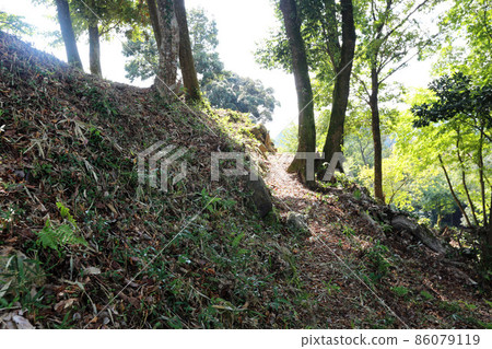 Mino Kanayama Castle 86079119