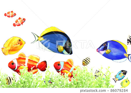 Fish swimming on the seabed 86079284