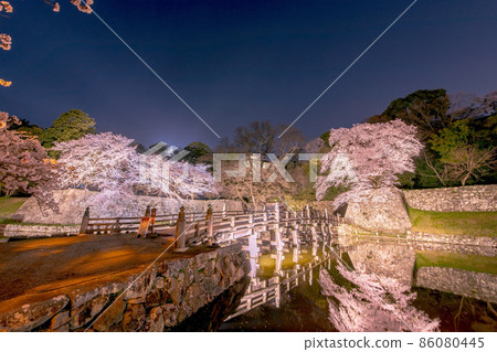 照明夜櫻花和城堡 86080445