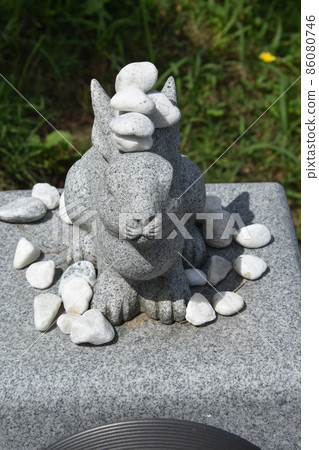 石兔 石兔 86080746