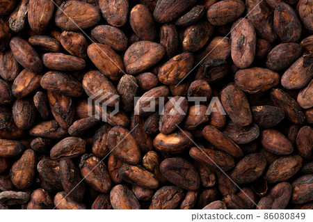 可可豆 可可豆 86080849