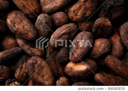 可可豆 可可豆 86080850