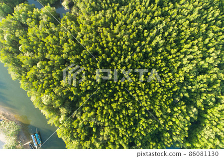 Amazing abundant mangrove forest Aerial view of forest trees Rainforest ecosystem and healthy environment background Texture of green trees forest top down High angle view 86081130