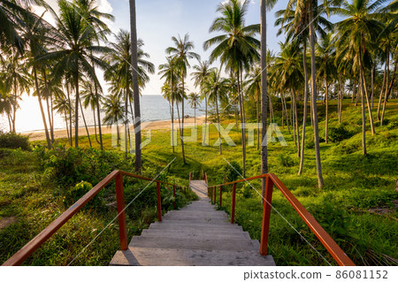 Silhouette coconut palm trees at sunset or sunrise sky over sea Amazing light nature colorful landscape Beautiful light nature sky and clouds Silhouette coconut palm trees at sunset or sunrise sky over sea Amazing light nature colorful landscape Beautiful light nature sky and clouds 86081152